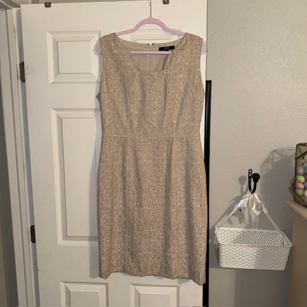 Alex Maire Sleeveless Women's Cream and Tan Paisly Designed Dress, Size 12